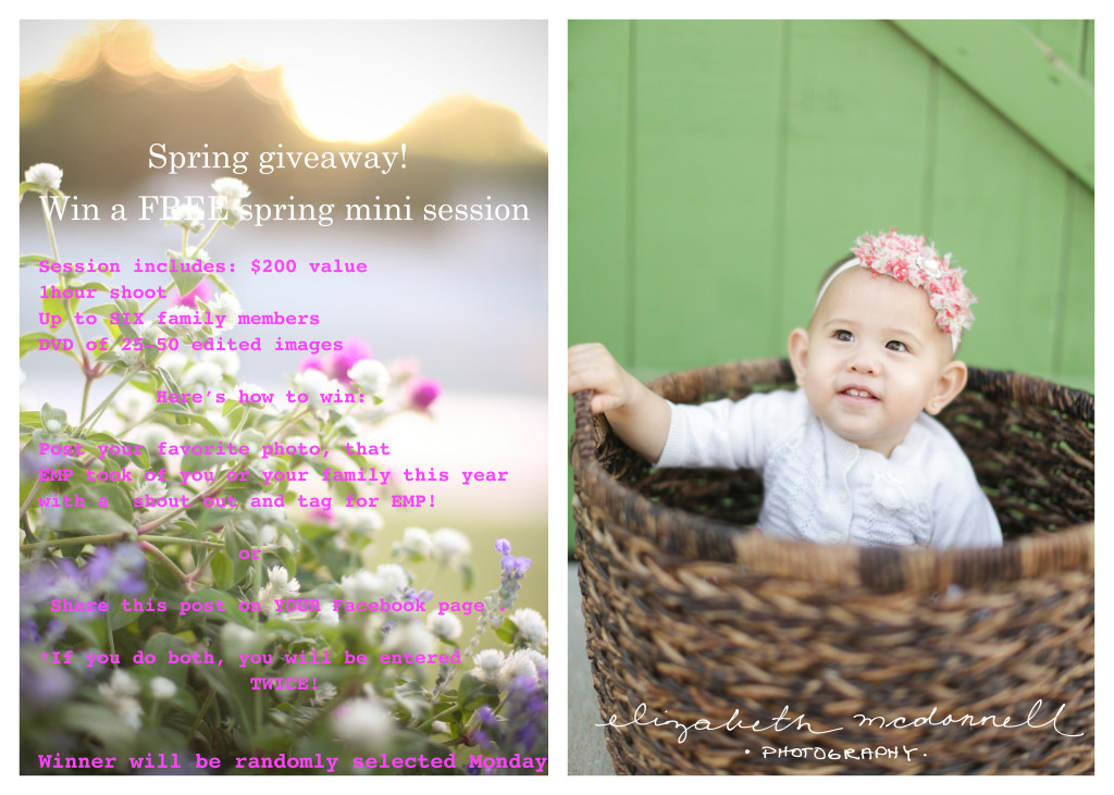 Spring giveaway copy