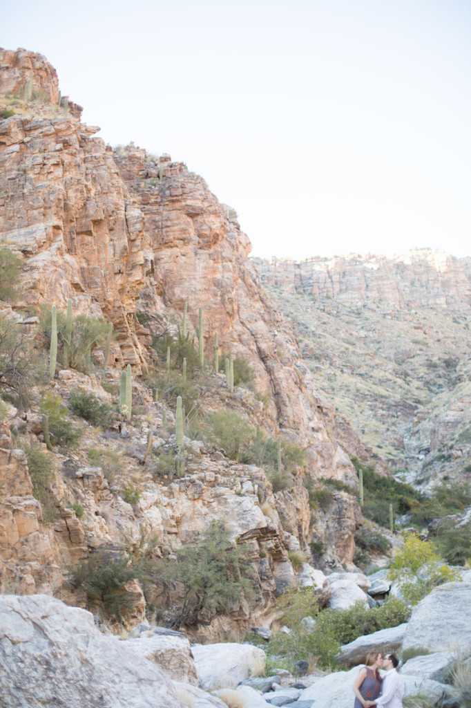 Jake & Shayne- Engaged (110 of 451)