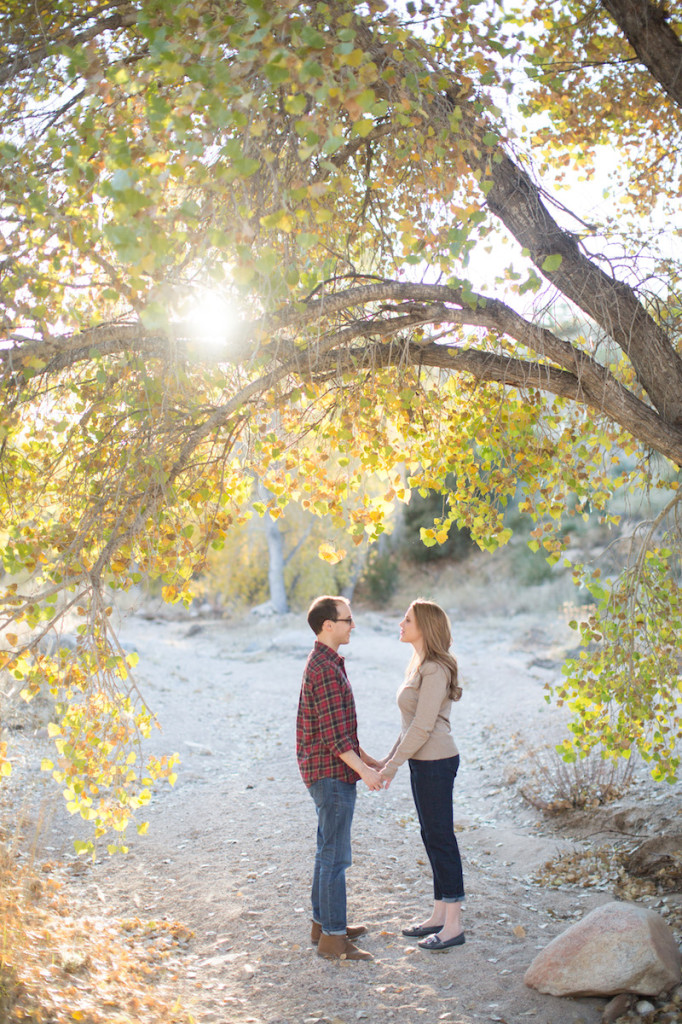 Jake & Shayne- Engaged (155 of 451)