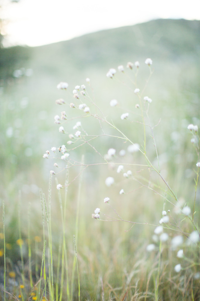 Miller Family (1 of 1)-26