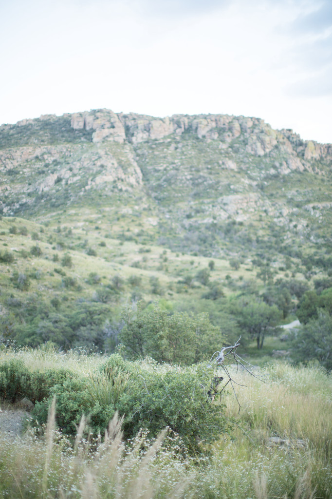 Miller Family (1 of 1)-28