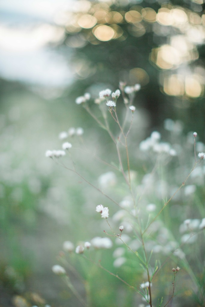 EMcDonnell Photography (50 of 101)