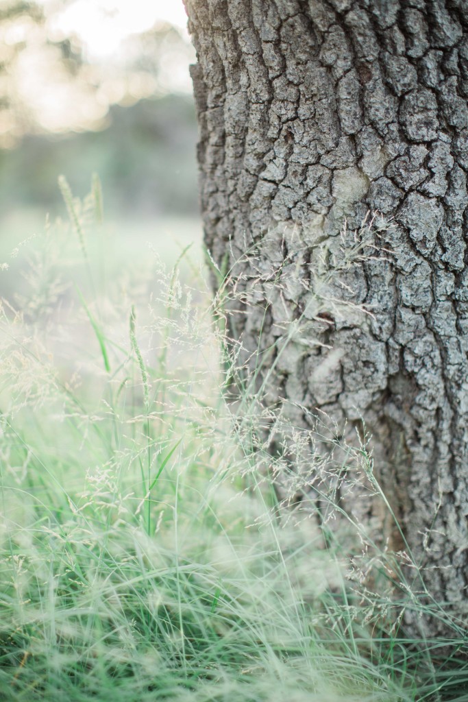 EMcDonnell Photography (99 of 101)